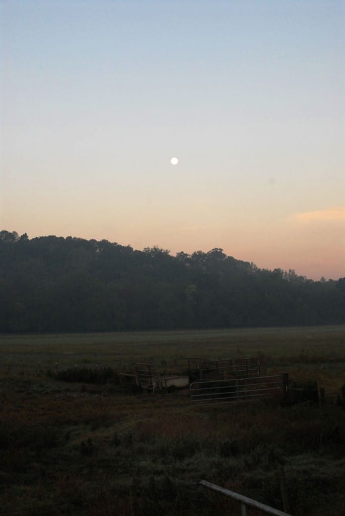 Pasture at Twilight